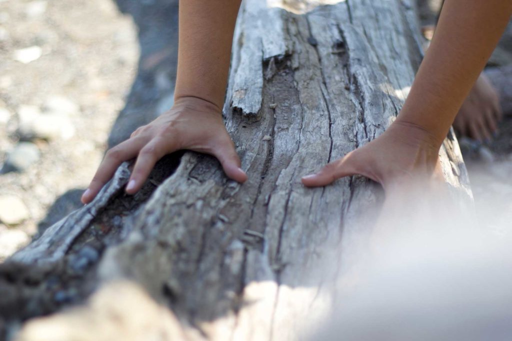 josi's hands on a log