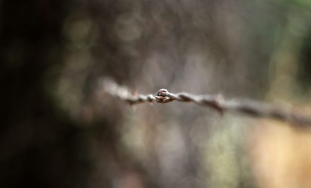 photo by Simon Hurry for Unsplash - out of focus background - in focus knot in wire line